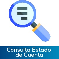 Consulta estado de cuenta