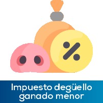Impuesto deg&uuml;ello ganado menor