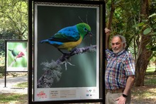 Los p&aacute;jaros se tomaron la ribera del r&iacute;o Cali