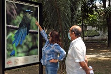 Los p&aacute;jaros se tomaron la ribera del r&iacute;o Cali