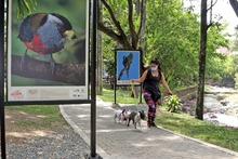 Los p&aacute;jaros se tomaron la ribera del r&iacute;o Cali