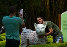 *Concertaci&oacute;n y restauraci&oacute;n para mejorar la salud mental en Cali*