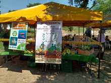 Este s&aacute;bado festivo es d&iacute;a de ir en familia a los Mercados Campesinos 