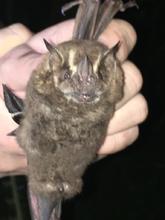 Coraz&oacute;n de Pance referente para la investigaci&oacute;n y la educaci&oacute;n ambiental