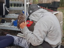 Coraz&oacute;n de Pance referente para la investigaci&oacute;n y la educaci&oacute;n ambiental