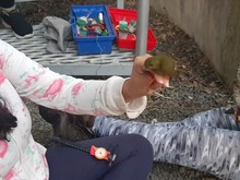 Coraz&oacute;n de Pance referente para la investigaci&oacute;n y la educaci&oacute;n ambiental