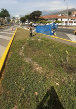 Limpieza y restauraci&oacute;n de zonas verdes en el corredor ambiental Calle 5