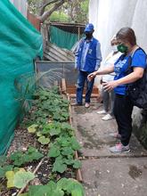 Avanza el fortalecimiento de las huertas en los comedores comunitarios