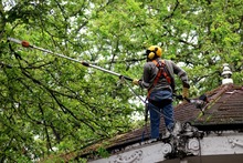 Regresan las tardeadas cale&ntilde;as al Parque La Retreta