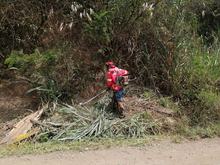 Con rocer&iacute;a, barrido de maleza y limpieza de cunetas tambi&eacute;n se impacta la zona rural