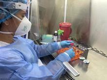 Red de Salud Centro puso en marcha primer laboratorio para el diagn&oacute;stico temprano de tuberculosis