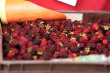 Fin de semana con encuentro de olores, sabores y colores en los &lsquo;Mercados Campesinos&rsquo;