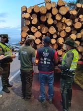 Operativos de pedagog&iacute;a  contra el tr&aacute;fico de flora silvestre