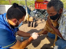 Binomio habitante de calle y animal de compa&ntilde;&iacute;a: un v&iacute;nculo de amor y cuidado