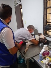 Binomio habitante de calle y animal de compa&ntilde;&iacute;a: un v&iacute;nculo de amor y cuidado