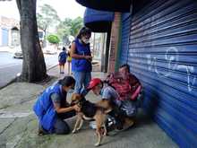 Binomio habitante de calle y animal de compa&ntilde;&iacute;a: un v&iacute;nculo de amor y cuidado