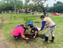 Cali se embellece con la recuperaci&oacute;n de espacios cr&iacute;ticos y nuevos jardines