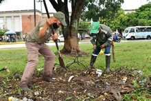 Cali se embellece con la recuperaci&oacute;n de espacios cr&iacute;ticos y nuevos jardines