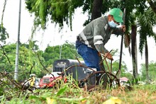 Cali se embellece con la recuperaci&oacute;n de espacios cr&iacute;ticos y nuevos jardines