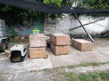 86 individuos silvestres atendidos por el Dagma, ser&aacute;n liberados en zona rural de Cesar