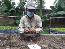 El Burilico, un sobreviviente que regresa al paisaje de Cali 