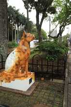 Bulevar del r&iacute;o cada d&iacute;a m&aacute;s seguro y bonito                                 