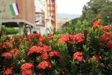 Bulevar del r&iacute;o cada d&iacute;a m&aacute;s seguro y bonito                                 