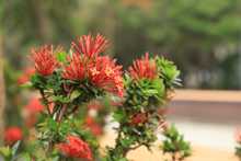 Bulevar del r&iacute;o cada d&iacute;a m&aacute;s seguro y bonito                                 