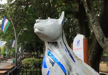 Bulevar del r&iacute;o cada d&iacute;a m&aacute;s seguro y bonito                                 