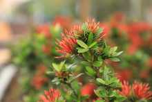 Bulevar del r&iacute;o cada d&iacute;a m&aacute;s seguro y bonito                                 