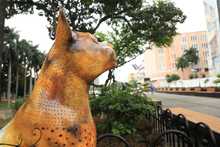 Bulevar del r&iacute;o cada d&iacute;a m&aacute;s seguro y bonito                                 