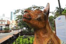 Bulevar del r&iacute;o cada d&iacute;a m&aacute;s seguro y bonito                                 