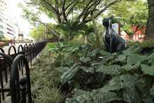 Bulevar del r&iacute;o cada d&iacute;a m&aacute;s seguro y bonito                                 