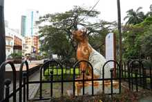 Bulevar del r&iacute;o cada d&iacute;a m&aacute;s seguro y bonito                                 