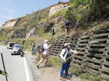 Embellecimiento de zonas verdes de 