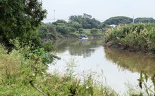 Importancia ambiental del Jarill&oacute;n del Rio Cauca para Cali