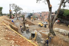 Importancia ambiental del Jarill&oacute;n del Rio Cauca para Cali