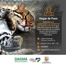 Hogar de paso para la protecci&oacute;n y atenci&oacute;n de fauna silvestre en Cali