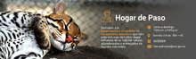 Hogar de paso