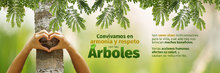 &Aacute;rboles