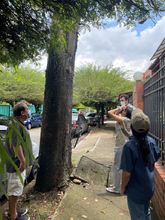 Mesa trabajo para articular acciones medioambientales en favor de la comuna 17