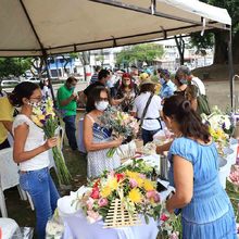 Con manjares, Cali y el Valle le apuestan a la reactivaci&oacute;n econ&oacute;mica 