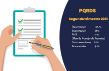 informe estad&iacute;stico 