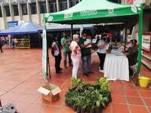 Obsequiando plantas a los cale&ntilde;os, ense&ntilde;amos a cuidar nuestro Ecosistema