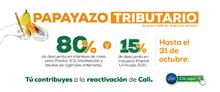 Papayazo_Tributario_Home Web 80y15