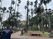 Diagn&oacute;stico arb&oacute;reo en la Plaza de Caycedo