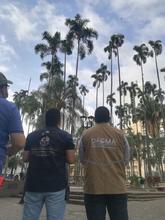 Diagn&oacute;stico arb&oacute;reo en la Plaza de Caycedo