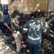 Embellecimiento, recuperaci&oacute;n de espacios  verdes y nuevos jardines para Cali