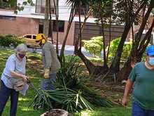 Embellecimiento, recuperaci&oacute;n de espacios  verdes y nuevos jardines para Cali