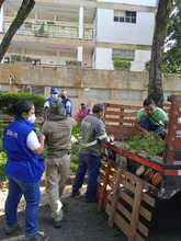 Embellecimiento, recuperaci&oacute;n de espacios  verdes y nuevos jardines para Cali